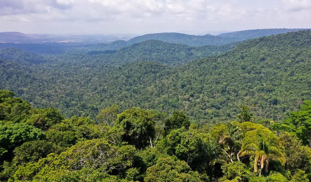 Estudo prevê redução de chuvas intensas na Amazônia e acende alerta
