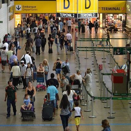 Imagem destacada de Chinês é preso com 34 ovos de aves silvestres no aeroporto de Guarulhos