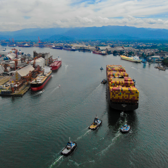 Estivadores do Porto de Santos fazem paralisação de 12 horas