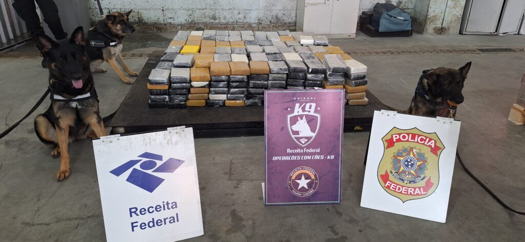 Receita Federal – Apreensão de 461 kg de cocaína em carga de papel - 10 (2)