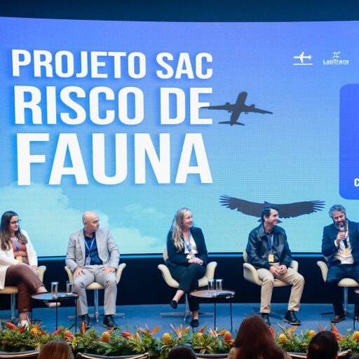 Imagem destacada de MPor conclui projeto inédito sobre risco da fauna na aviação brasileira
