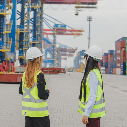 Imagem destacada de Santos Brasil abre inscrições para Trainee com salário de R$ 16 mil