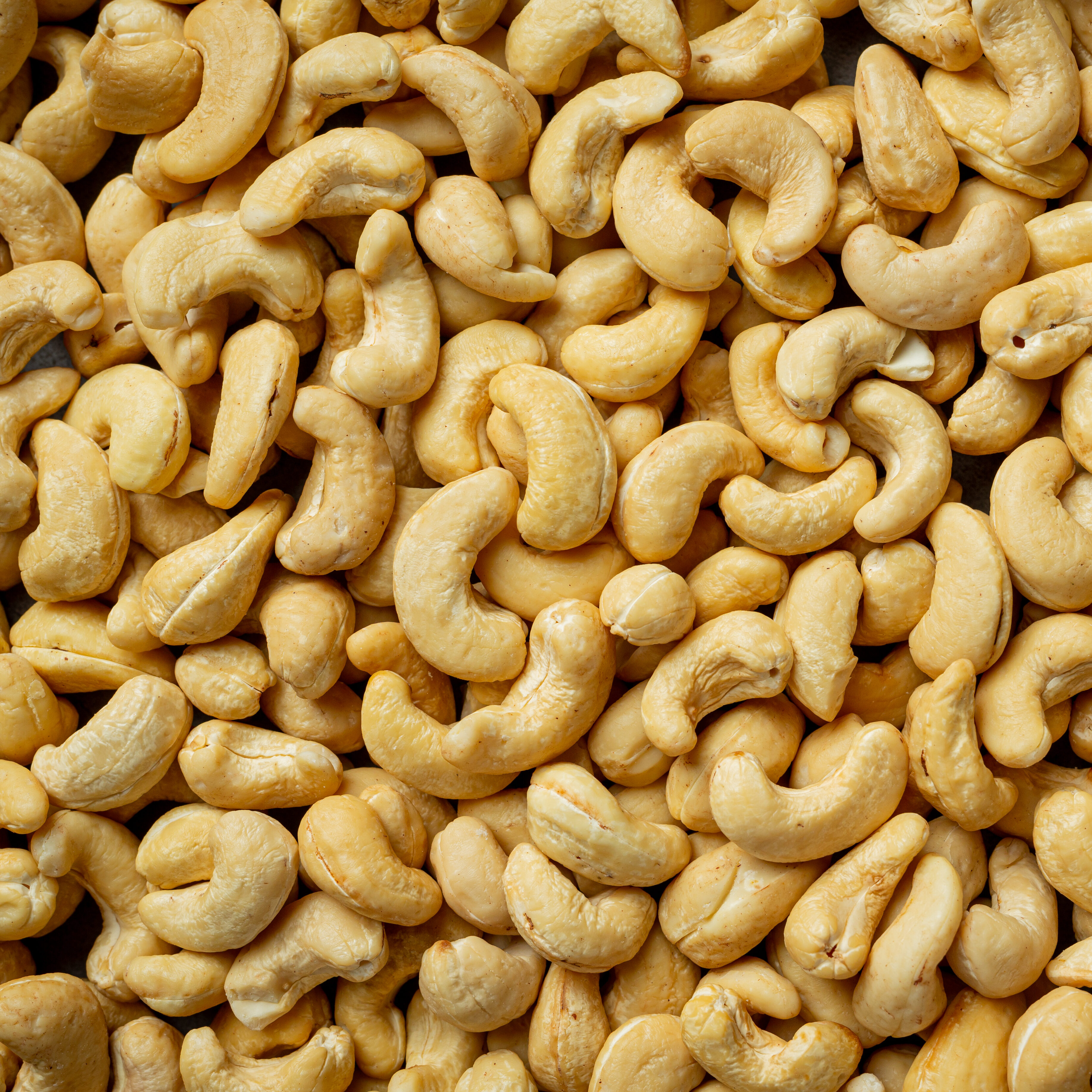 Imagem destacada de Acordo Mercosul-UE amplia acesso do Nordeste ao mercado europeu