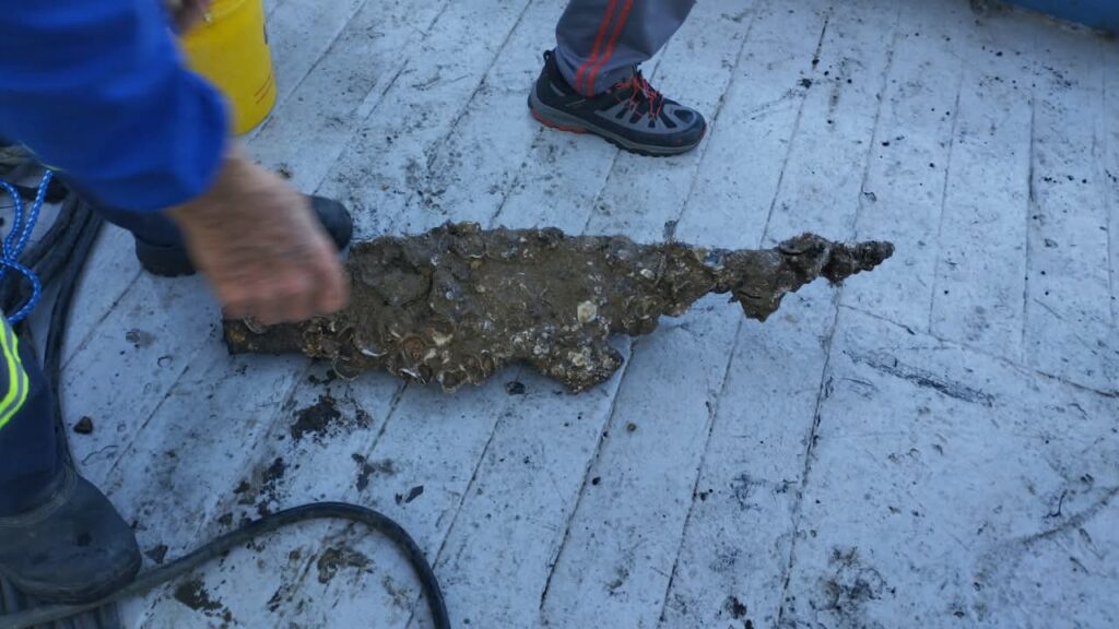 mergulho navio Pallas