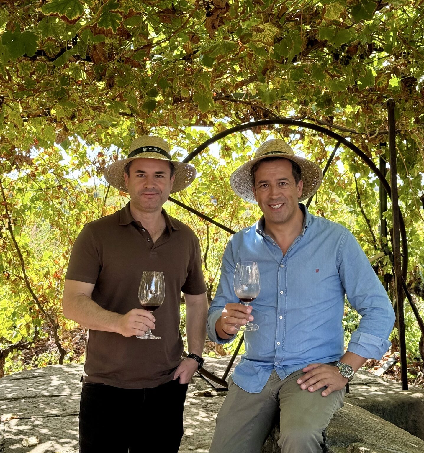 Imagem destacada de Costa Boal se une a produtor brasileiro para fazer vinho no Cerrado Mineiro