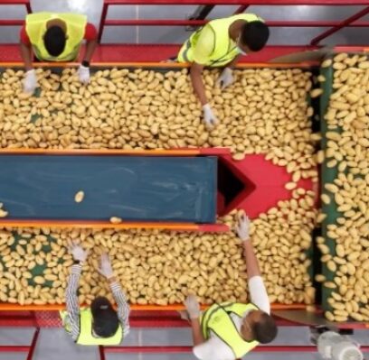 Imagem destacada de Brasil define cotas para exportar à Noruega com tarifas reduzidas