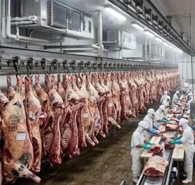 Imagem destacada de China eleva tarifa sobre carne brasileira após fim da cota